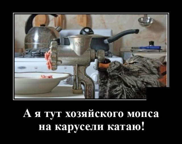 demotivatory-demotivator-smeshnye-demotivatory-demotivator-so-smyslom