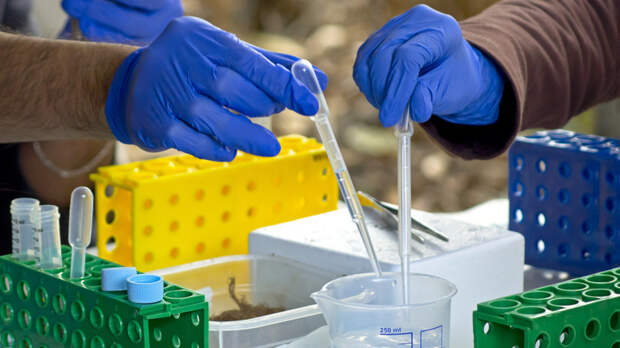 Путин поручил ускорить формирование Стратегии развития биоэкономики