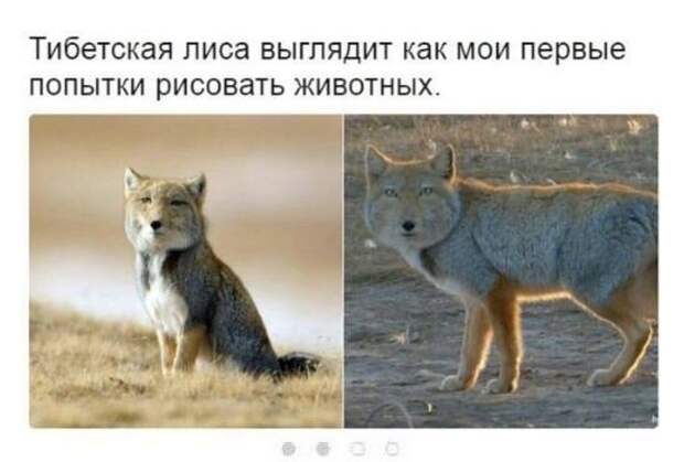 Очередная порция картинок с подписями картинки с подписями, подборка, позитив