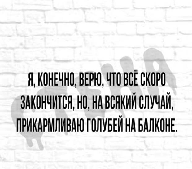 На изображении может находиться: текст «я, конечно, верю, что всё скоро закончится, всякий случай, прикармливаю голубей балконе.»