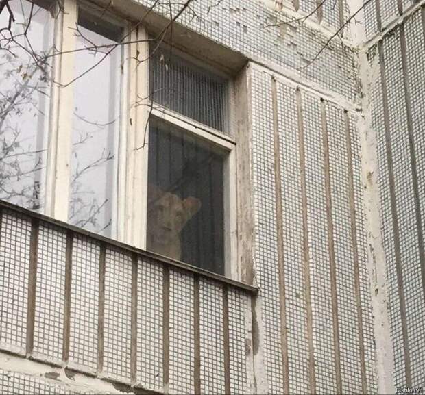 Что-то с реальностью не всё в порядке