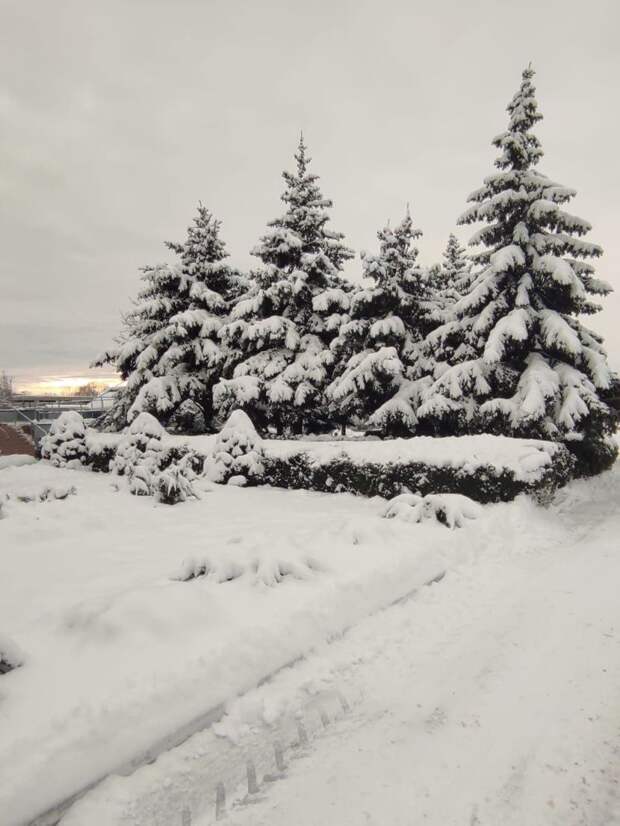 Прошла ли Кубань ледяной удар? Одна из самых холодных зим за десятилетие на юге России