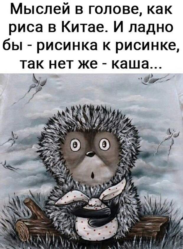Смех – лучшее средство для поднятия настроения