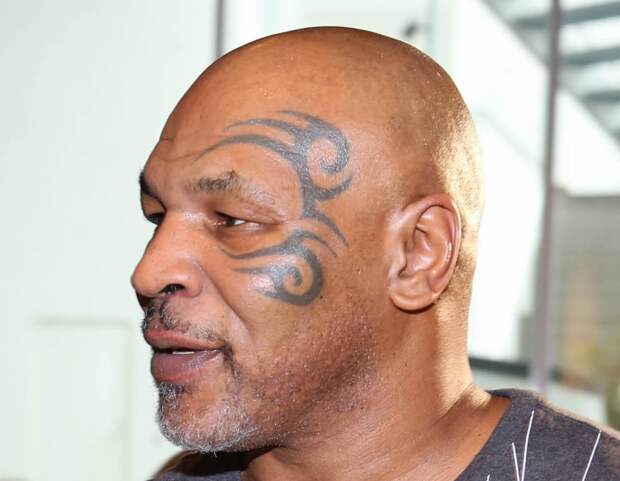 Тайсону предложили 10 млн. долларов за бой с Холифилдом