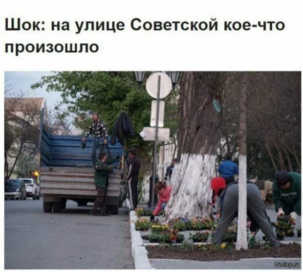 Новости, которые мы заслужили: 30+ безумных заголовков из СМИ