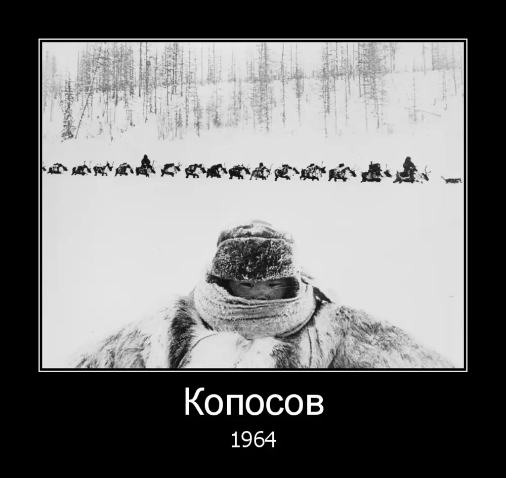 Профиль - Олег Куприн - 77777731 - Медиаплатформа МирТесен