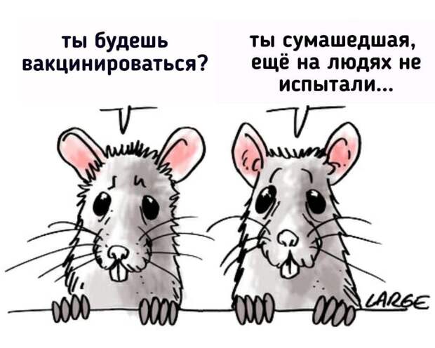 Без названия