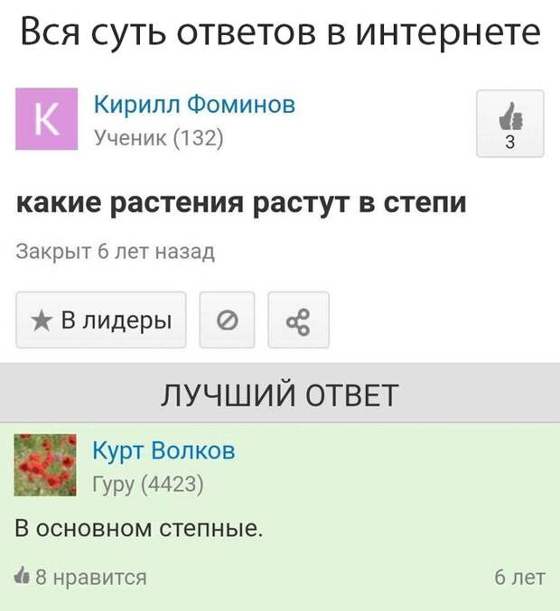 www.vsyako.net