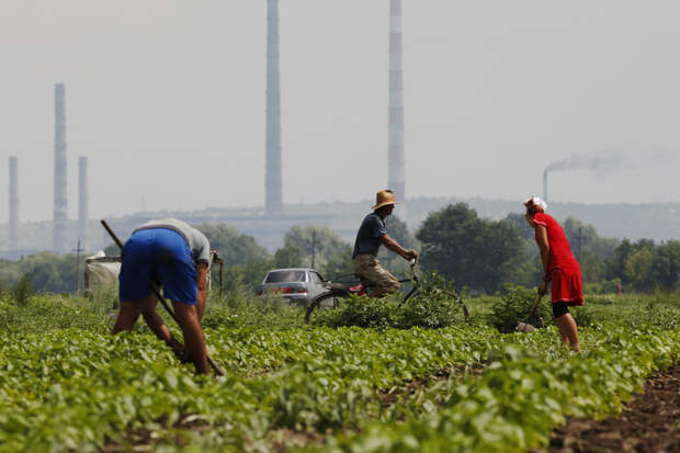 Раскрыты последствия конфликта на Ближнем Востоке для Украины