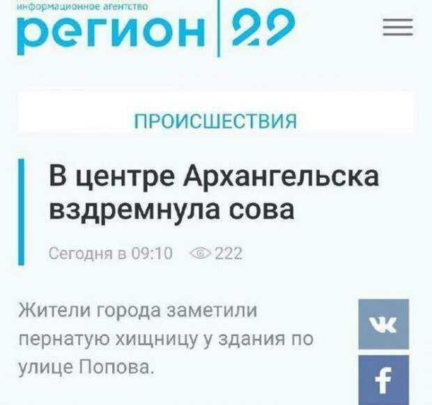 Новости, которые мы заслужили: 30+ безумных заголовков из СМИ