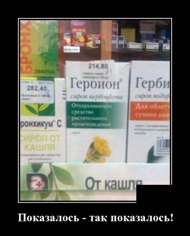 demotivatory-demotivator-smeshnye-demotivatory-demotivator-so-smyslom
