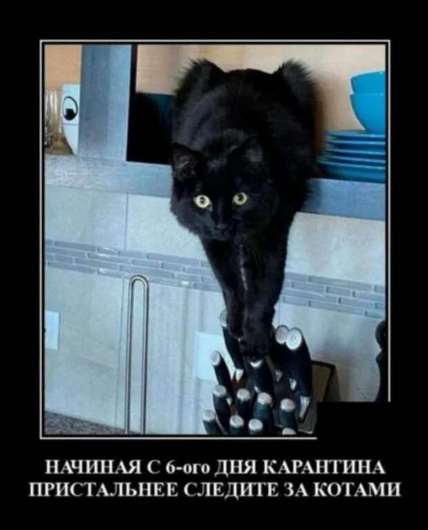 Демотиваторы про коронавирус с надписями. Подборка chert-poberi-dem-koronavirus-chert-poberi-dem-koronavirus-48590603092020-14 картинка chert-poberi-dem-koronavirus-48590603092020-14