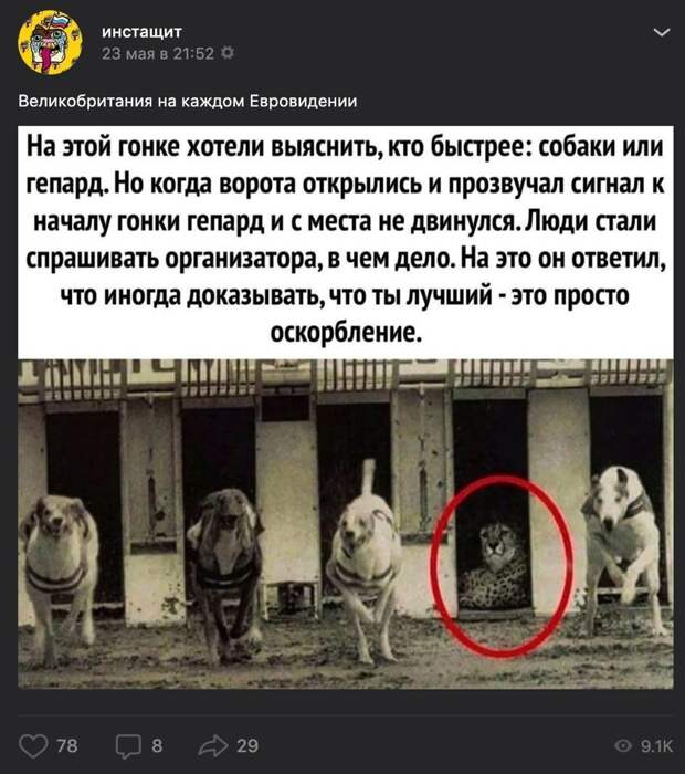 Это реклама Ауди, а не гонка Это реклама Ауди, а не гонка