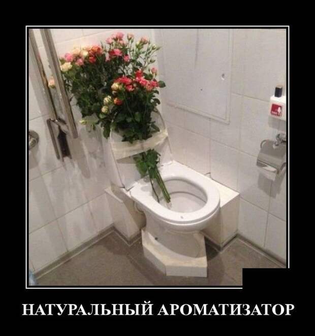 demotivatory-demotivator-smeshnye-demotivatory-demotivator-so-smyslom