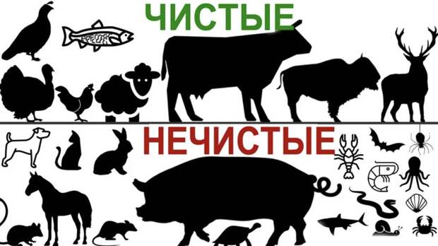 Например, мусульманам многие "виды белка" есть нельзя. Олени же считаются разрешенной пищей. А мусульман в мире свыше 1,6 миллиарда. 