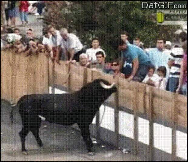 Будет знать, на кого "бычить" Будет знать, на кого "бычить"