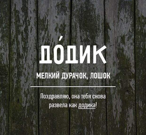 Редкие бранные слова русского языка (20 картинок)