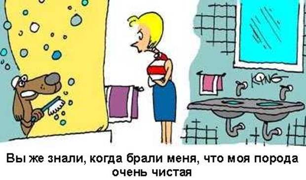 Давайте улыбаться вместе :)