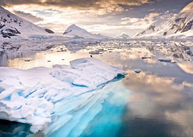 Антарктида, Антарктика, самый холодный континент, снег, холод