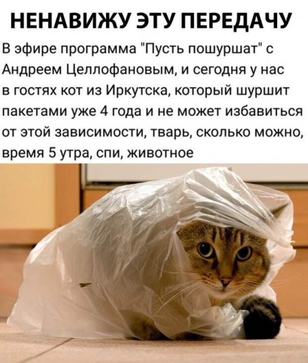 Прикольные картинки и фото 9 сентября (22 шт) Прикольные картинки и фото 9 сентября (22 шт)