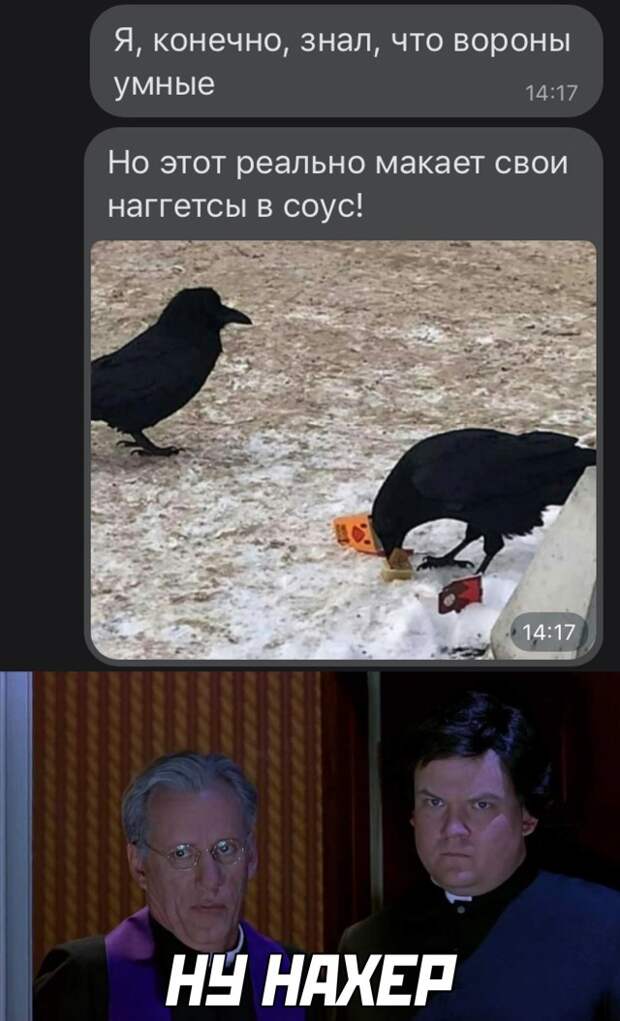 Смешные картинки вечер 18 февраля 2021