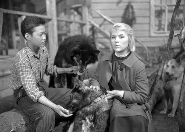 Кадр из фильма *Дикая собака Динго*, 1962 | Фото: kino-teatr.ru Кадр из фильма *Дикая собака Динго*, 1962 | Фото: kino-teatr.ru