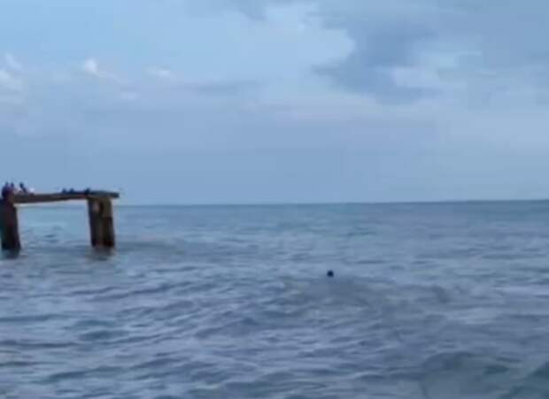 В Сочи спасли подростков, которых едва не унесло в открытое море во время шторма