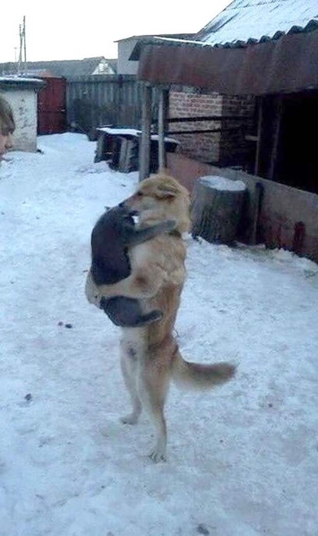 Это любовь Это любовь