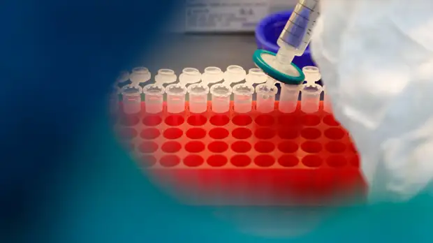 В Петербурге не исключили трёх волн коронавируса после праздников