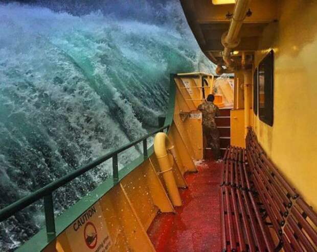 Рассекая волны. Рассекая волны