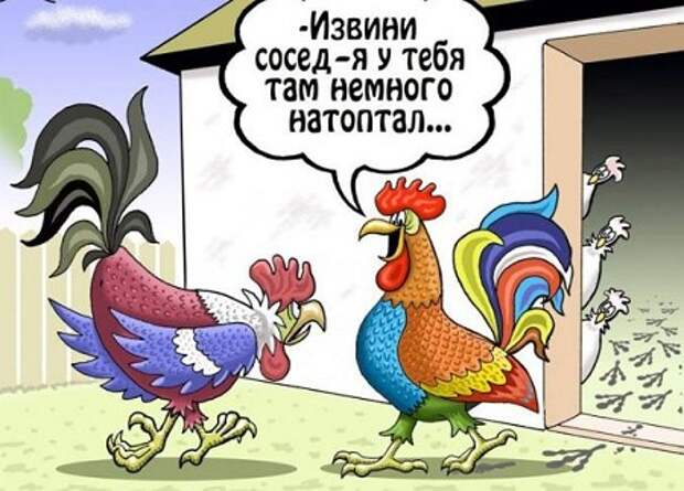 анекдоты смешные до слез 