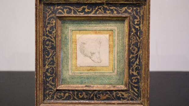 _искусство_аукцион-1024x576 Голова медведя авторства Леонардо да Винчи продана на аукционе за 8,86 миллионов фунтов стерлингов