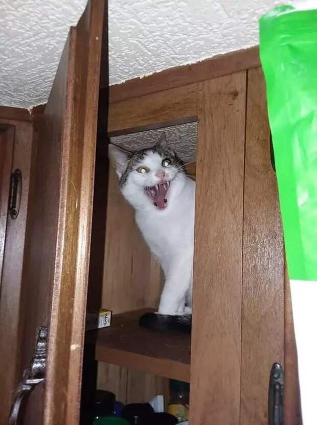 e0b3539aa1b8f01e32d2f068ab53f778.jpeg