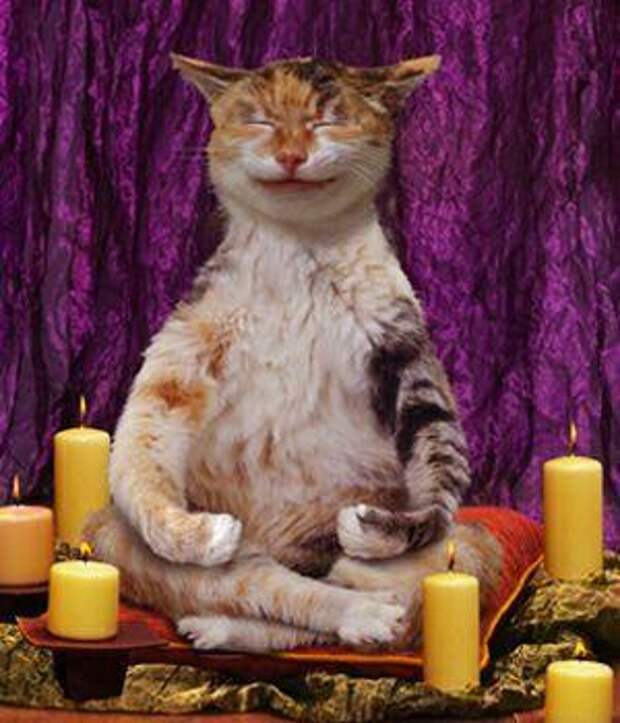 Давайте улыбаться вместе :)