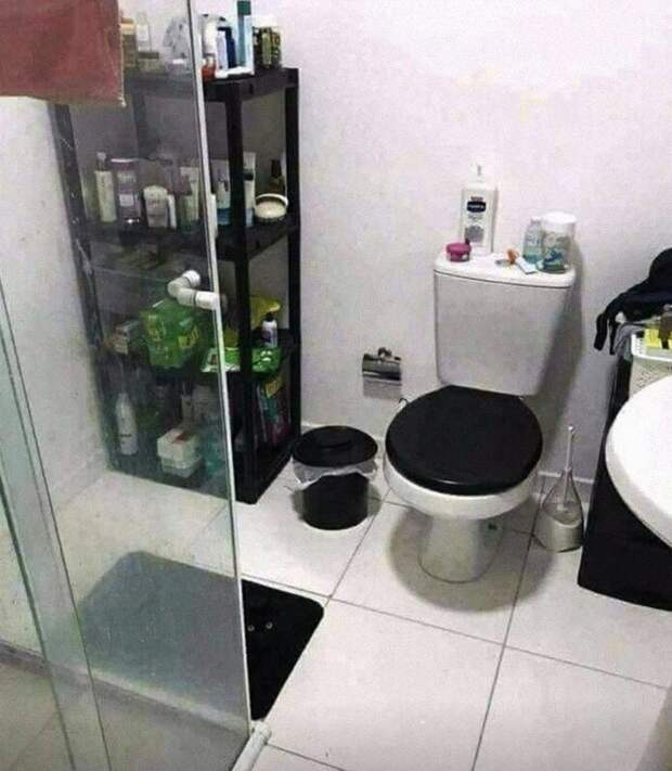 милые фото черных кошек