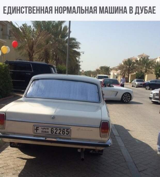 Очередная порция картинок с подписями картинки с подписями, подборка, позитив