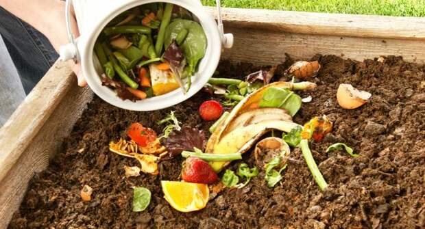 Следуя правилам закладки слоев и удобрений в компостную яму, можно получить питательный грунт в краткие сроки