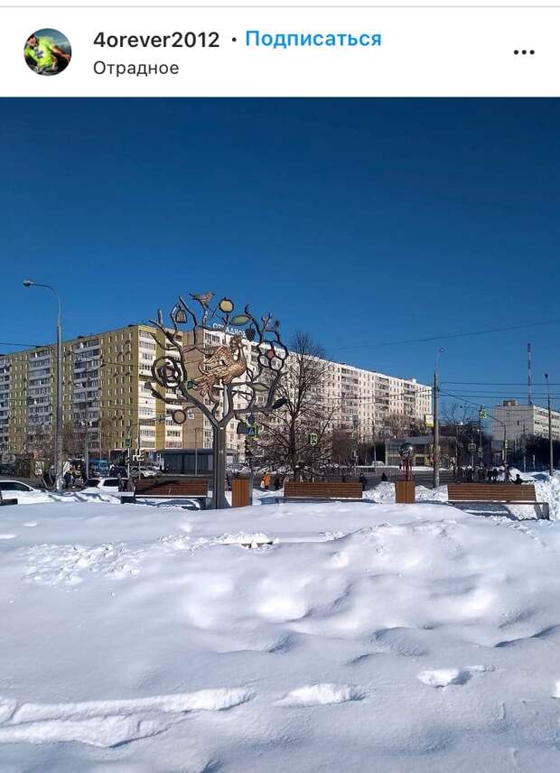 Фото дня: жар-птица на Декабристов встретила весну