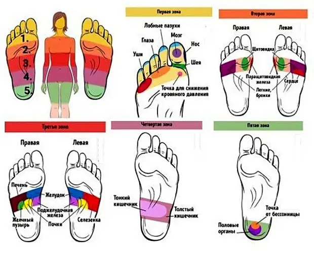 Стопа человека точки отвечающие за органы фото с надписями