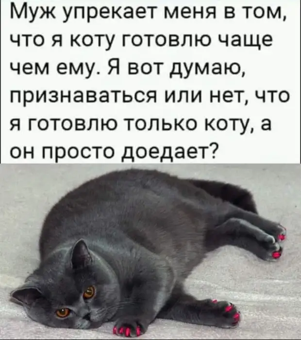 Фима, сынок, запомни! Самое страшное – совать пальцы в розетку, мясорубку и в обручальное кольцо. Фима, сынок, запомни! Самое страшное – совать пальцы в розетку, мясорубку и в обручальное кольцо. купил, набирает, Дорогая, каждый, виноваты, моральный, тысячи, ущерб, ерунда, спрашивает, будешь, тысяч, бывает, кризиса, Дальше, вертолет, Какой, Ладно, такая, Мужик