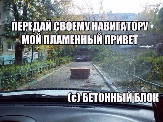 Смешные фразы в картинках