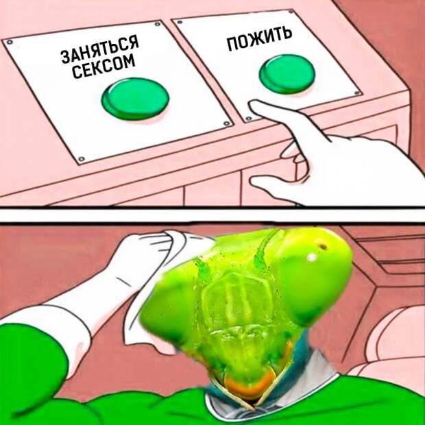 Нестандартный юмор :)