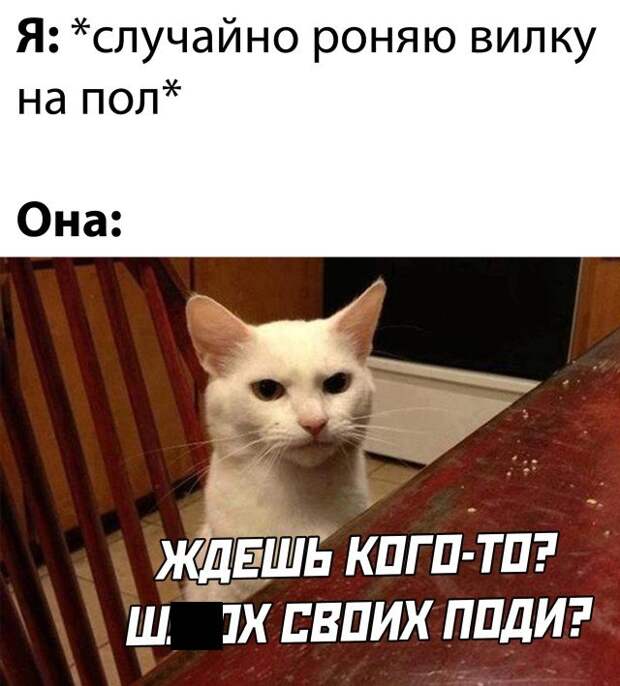Уронил вилку на пол