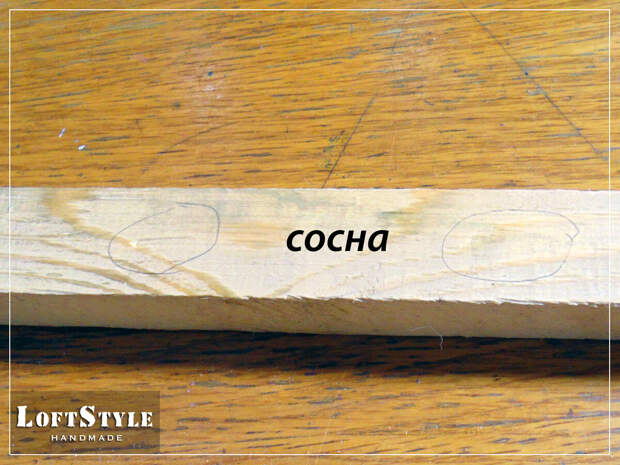 и обычная сосна