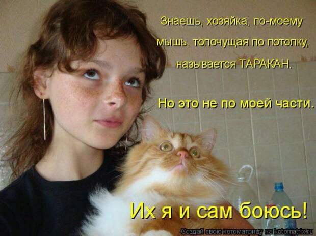 Мысли вслух :)