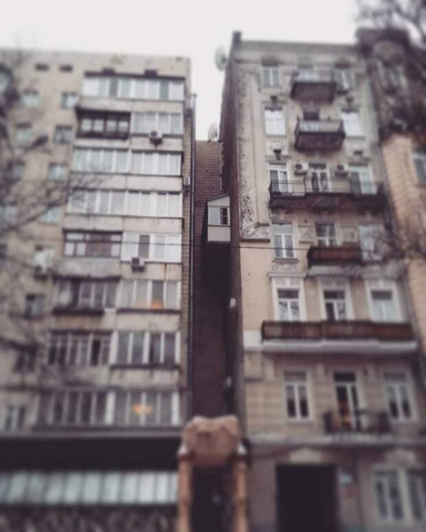 Фотография: 20 балконов, которые могут многое рассказать про тараканов в голове их хозяев №15 - BigPicture.ru