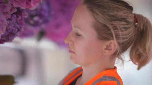 Вагон поезда в Лондоне украсили 3000 цветов в честь Chelsea Flower Show: реакция пассажиров