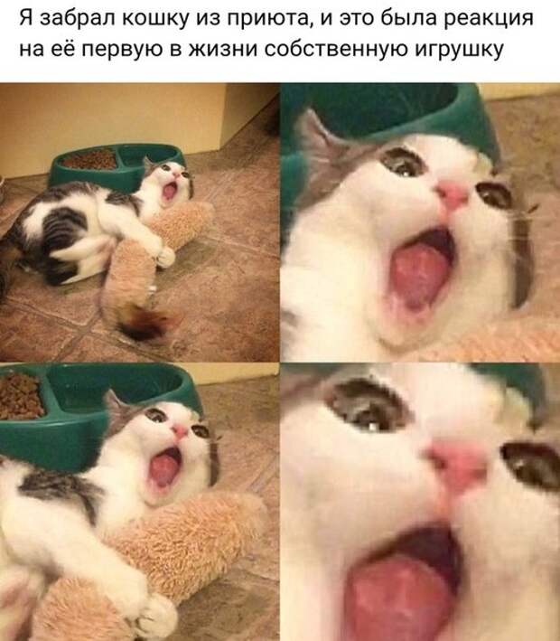 инторнэтное насобиралово