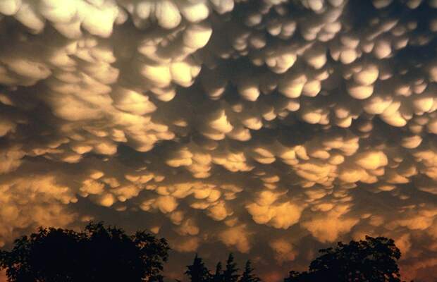 Необычные облака: Mammatus