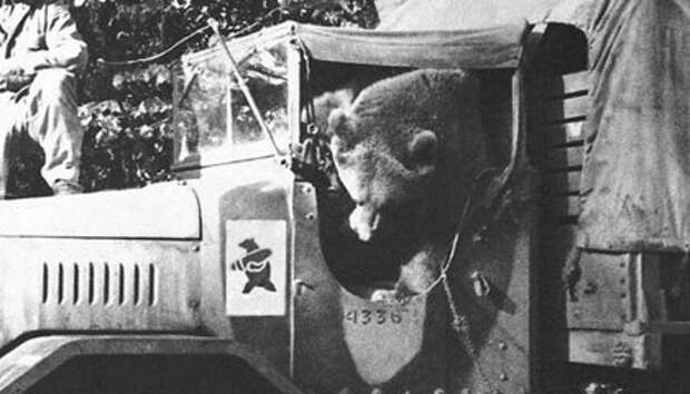 Войтек в грузовике своей роты (1945 год)